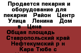 Продается пекарня и оборудование для пекарни › Район ­ Центр › Улица ­ Ленина › Дом ­ 43в › Цена ­ 600 000 › Общая площадь ­ 270 - Ставропольский край, Нефтекумский р-н, Кара-Тюбе с. Недвижимость » Помещения продажа   . Ставропольский край